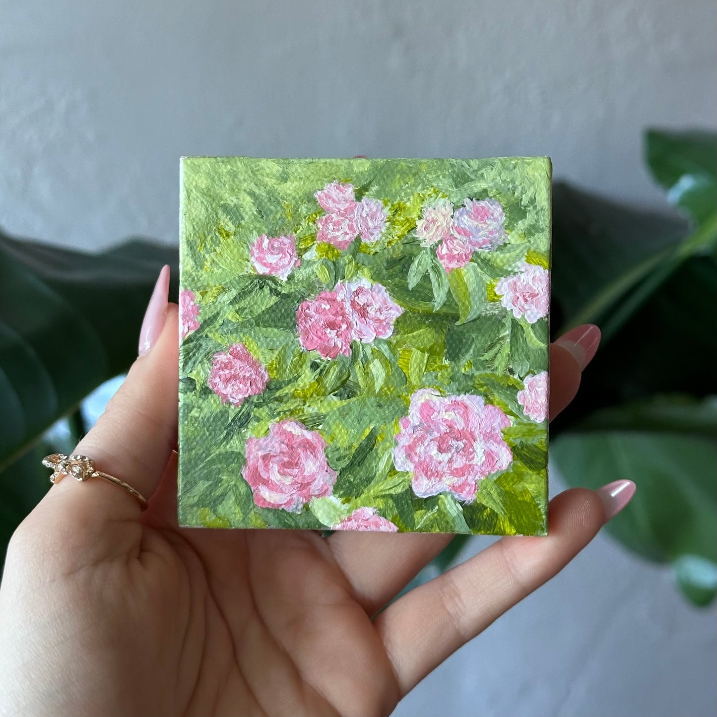 Rosebush