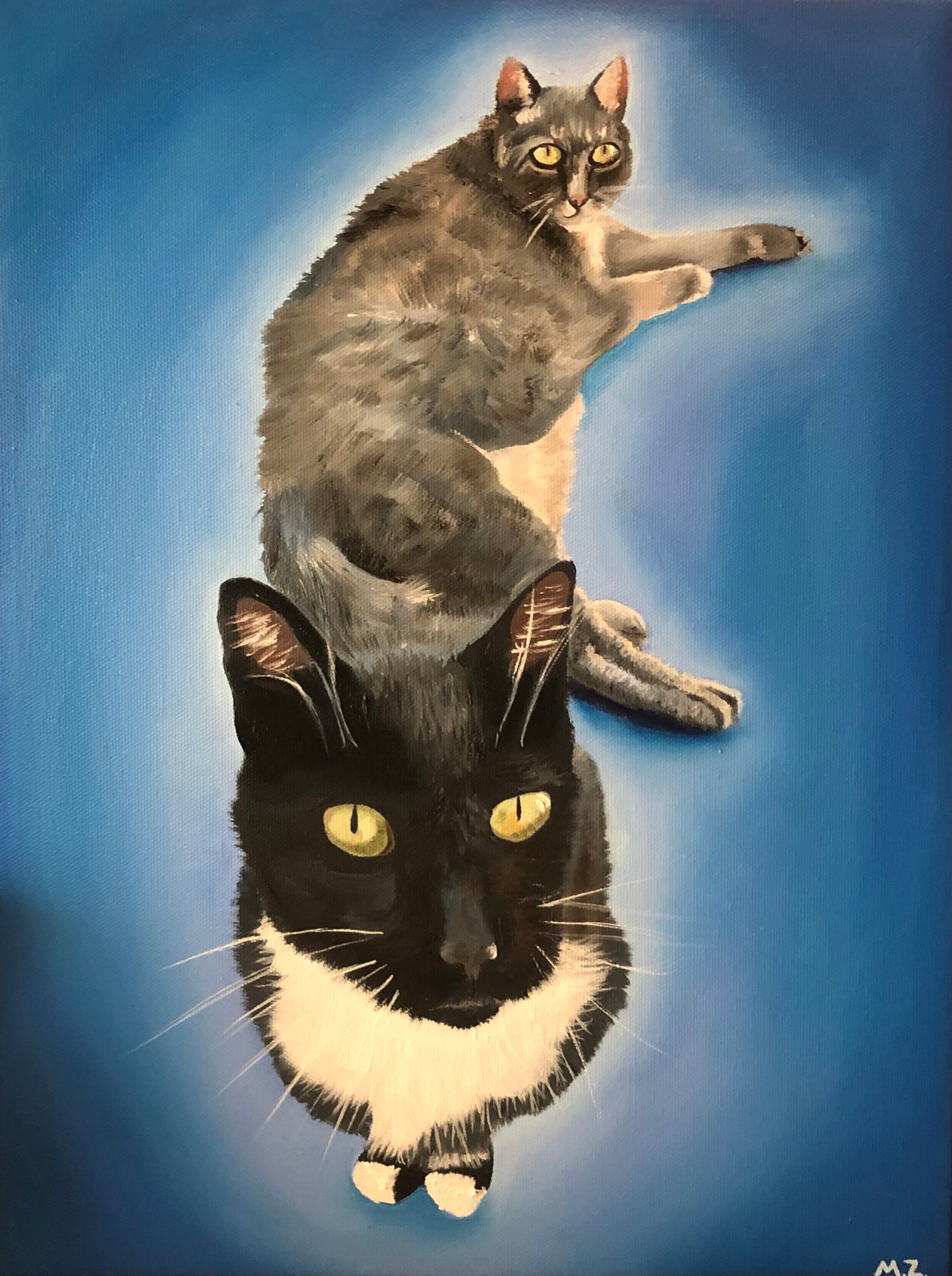 "Buddy & Rocky "