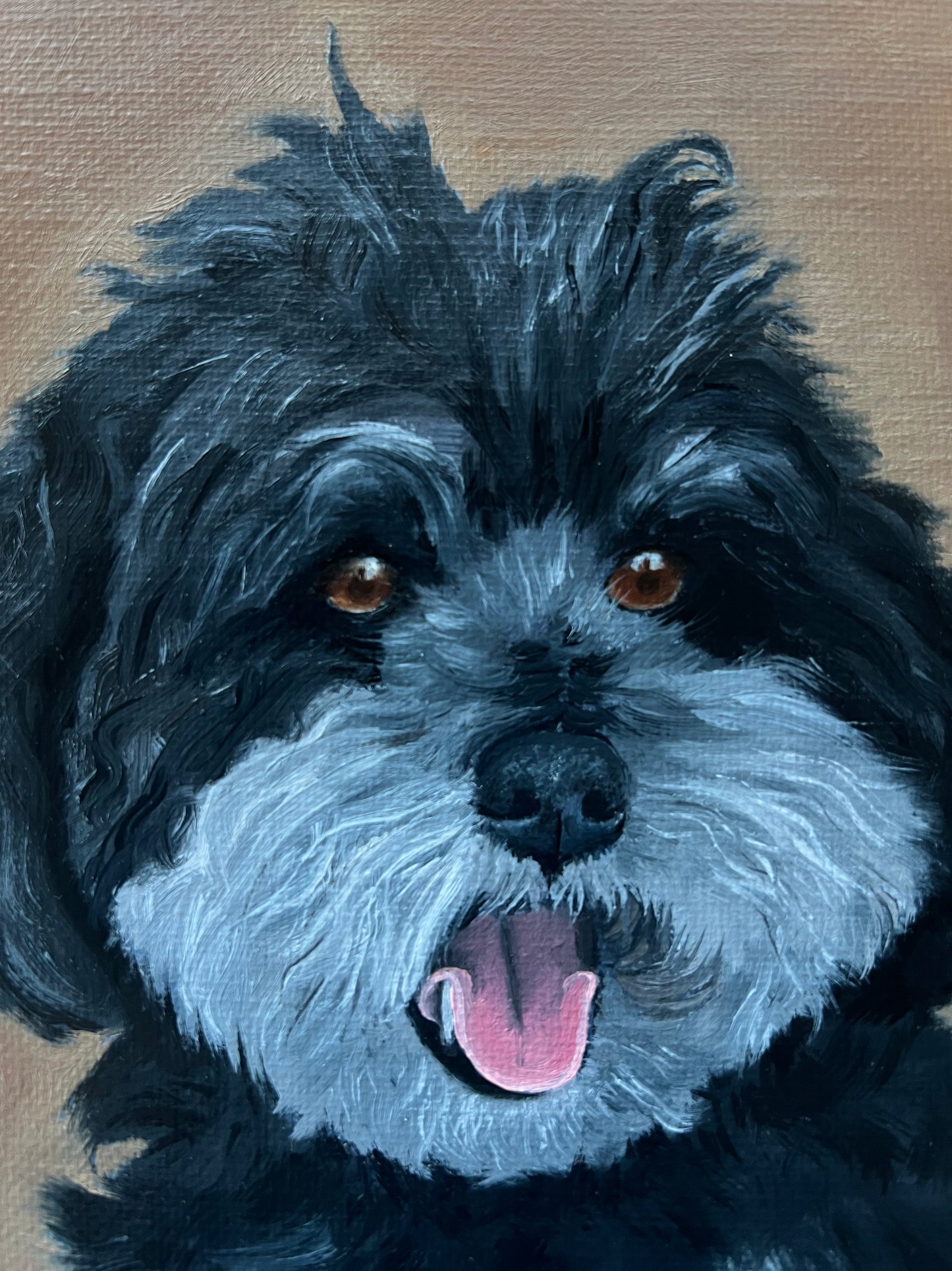 Teddy