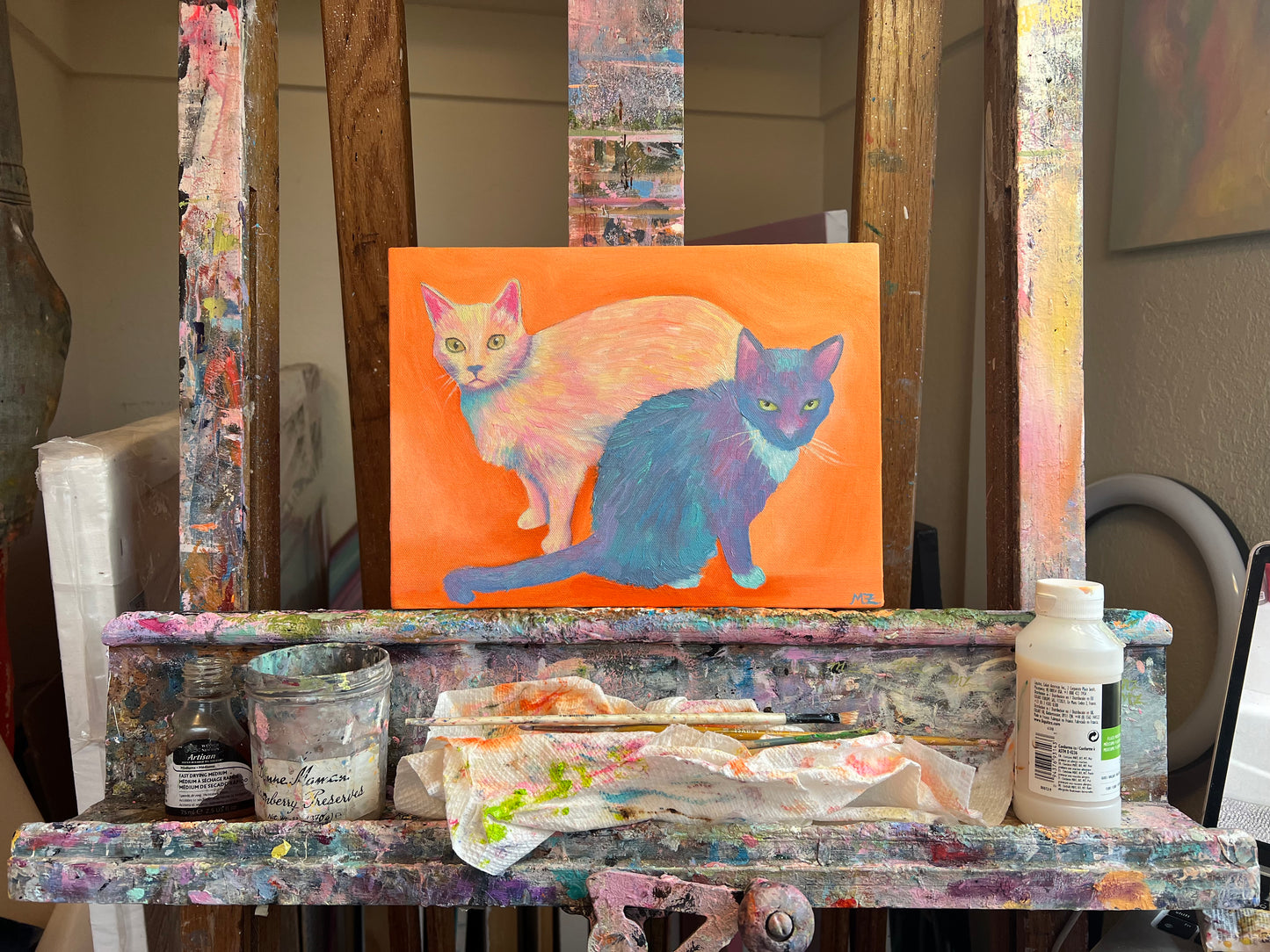 Colorful Cats