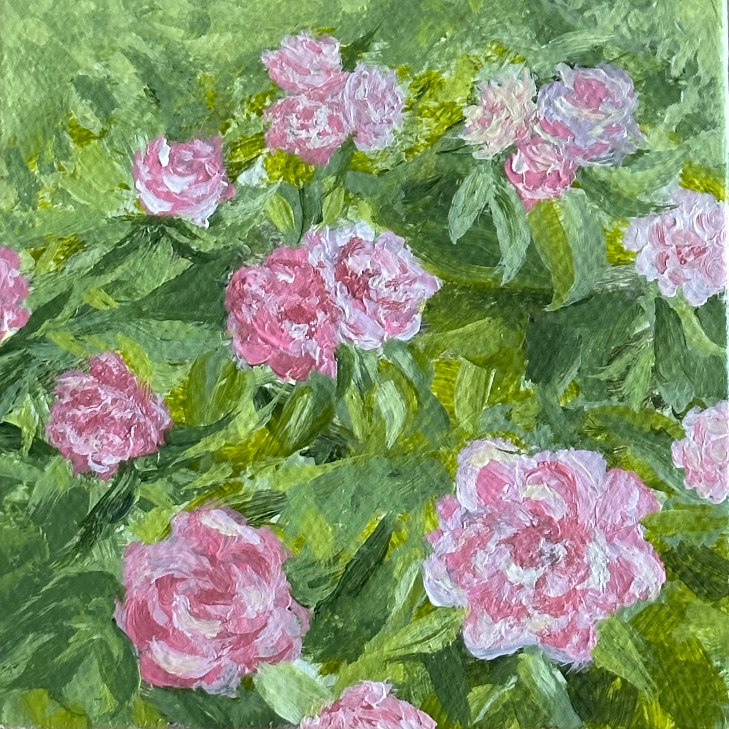 Rosebush